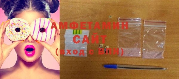 прущие грибы Ельня