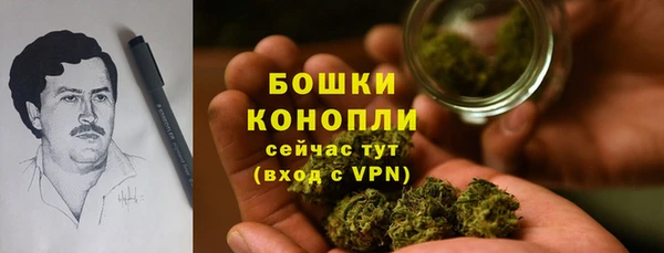 стафф Заволжск