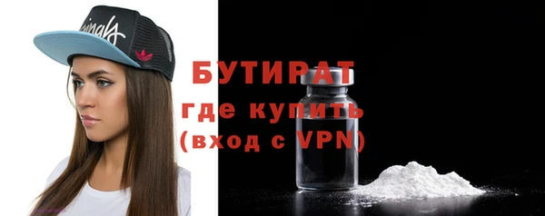 прущие грибы Ельня