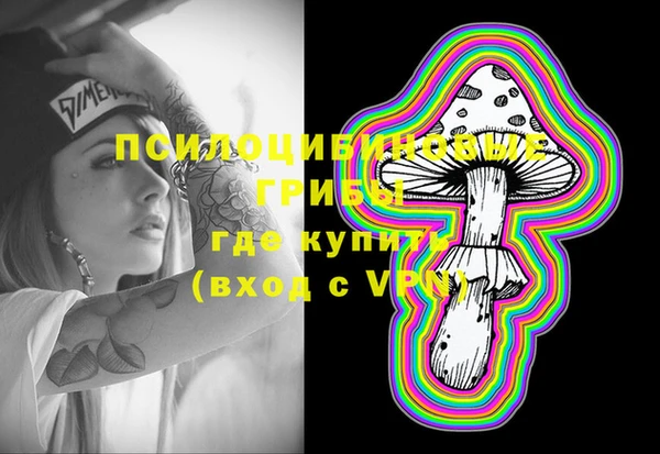 прущие грибы Ельня