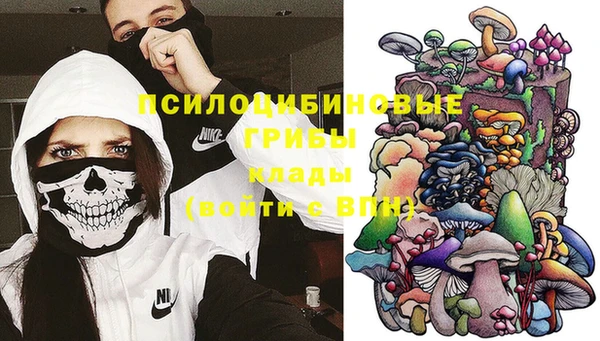 гашиш Заводоуковск