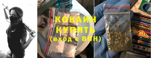 прущие грибы Ельня
