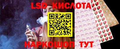 СК Бийск