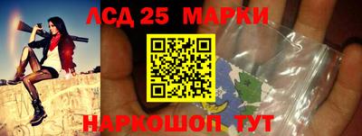 СК Бийск