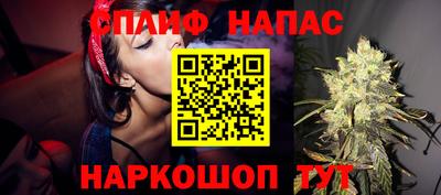 гашик Будённовск