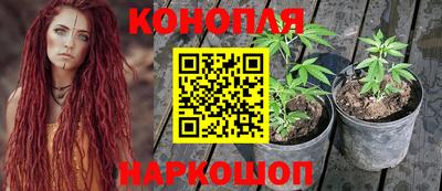 амф Берёзовский