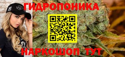 СК Бийск