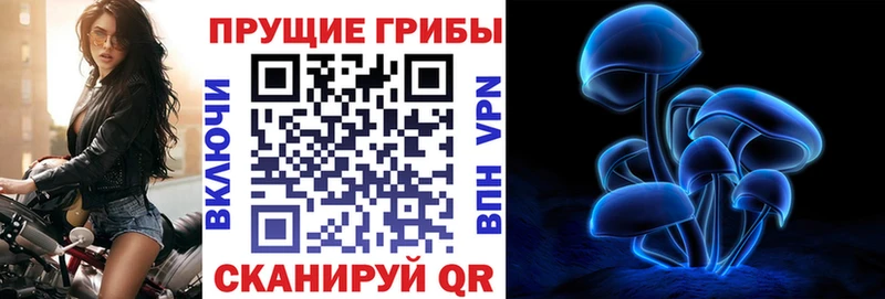 Галлюциногенные грибы мицелий  купить наркоту  Губкин 