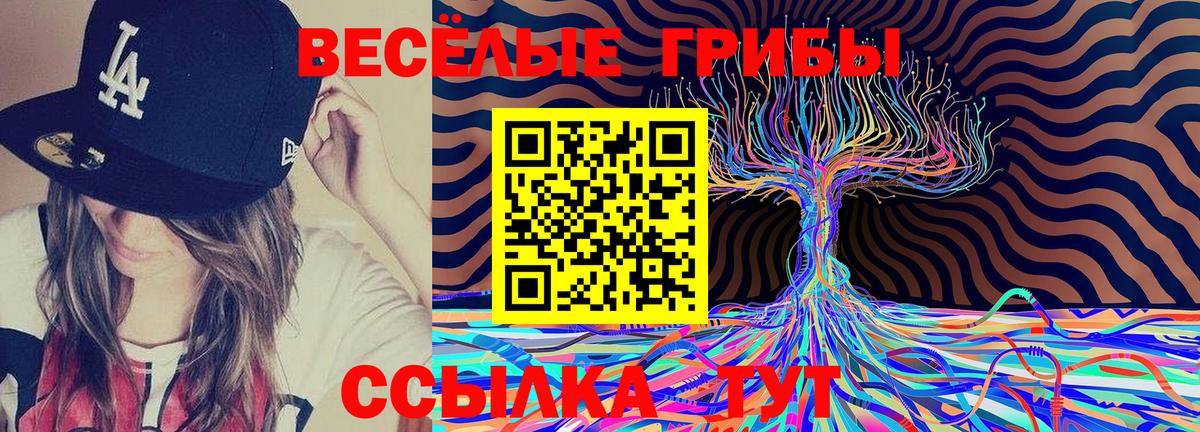 Псилоцибиновые грибы мухоморы  Губкин 