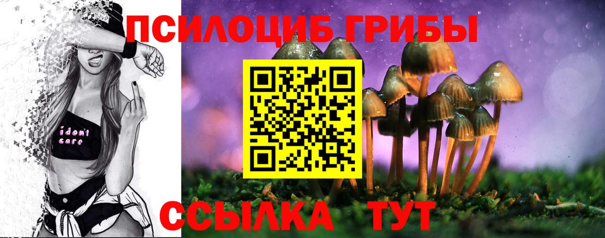Галлюциногенные грибы Magic Shrooms  Вход с VPN  Губкин 