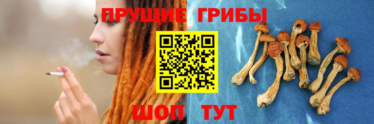 Галлюциногенные грибы прущие грибы Губкин