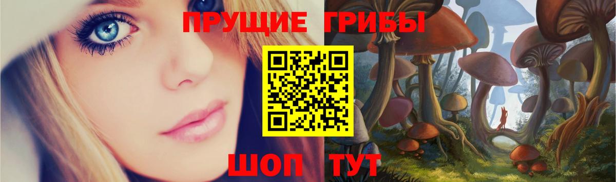 Галлюциногенные грибы Psilocybine cubensis Губкин